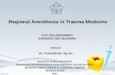 Anestesi Regional Pada Kasus Trauma (English)