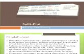 SPLIT PLOT [Compatibility Mode]