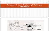Anatomi dan Fisiologi Telinga Tengah.ppt