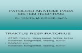 Kul Blok 3.3 2012patologi Anatomi Pada Sistem Respirasi