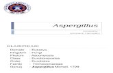 Aspergillus PPT