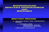 03.Biodegradasi Senyawa Hidrokarbon Mikrobia