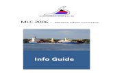 Guía e informacion para realizar MLC 2006