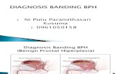 Diagnosis Banding BPH ppt.pptx