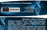 PP MIKVIR Kel 9B-Identifikasi Bakteri Patogen