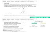 Biosynthesis NP-3 Poliketida