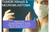 Tumor Wilm & Neuroblastoma