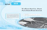 3. Eubacteria Dan Archaebacteria