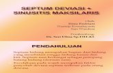 Septum Deviasi + Sinisitis Maksila