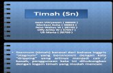 Timah (Sn)
