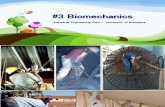 P3 - Ergo - Biomechanics