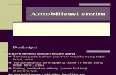 Amobilisasi enzim-2010