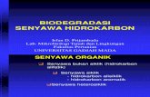 Biodegradasi Senyawa Hidrokarbon