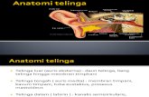 Anatomi Telinga Nis