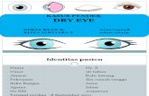 Kasus Pendek Dry Eye