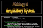 K 2-BAHAN KULIAH Respiratori Sistem