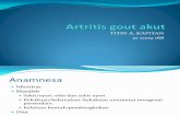PBL 14 Artritis Gout Akut