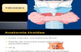 tiroides PARA DR CASTAÑEDA