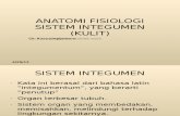 Anatomi Fisiologi Sistem Integumen (Kulit)