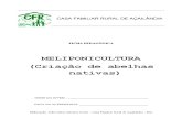 Ficha Pedagógica - Meliponicultura