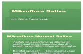 38666726 Mikroflora Saliva