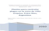 Plantas para controlar plagas en la zona de Villa Urquiza, Entre Ríos, Argentina.