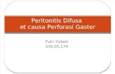 Peritonitis Difusa Presentation Slide