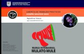 Diseño de marca y apertura - Murga Mulato Mulé