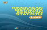 ringkasan metadata kegiatan statistik 2013