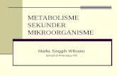 METABOLISME SEKUNDER MIKROORGANISME.pdf