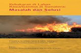 Kebakaran di lahan rawa/gambut di Sumatera:masalah dan solusi ...