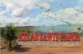 Atlas Sawit Papua