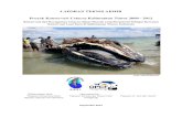 LAPORAN TEKNIS AKHIR Proyek Konservasi Cetacea Kalimantan ...