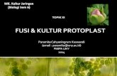 PPT Kultur Jaringan Tumbuhan (Kultur Protoplast)