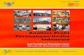 analisis profil perusahaan/usaha indonesia 2006