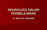 Materi Kuliah Neurologi dalam Pembelajaran