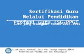 12. SG PPG Bahan Diskusi Rektor Medan 1