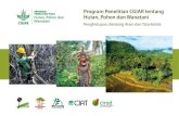 Program Penelitian CGIAR tentang Hutan, Pohon dan Wanatani