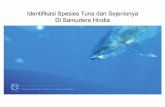 Identifikasi Spesies Tuna dan Sejenisnya Di Samudera Hindia