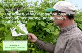 Sustainable Agriculture Training