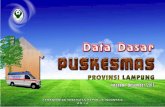 08. Data Dasar Puskesmas final - Lampung.pdf
