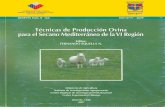 Tecnicas de produccion ovina para el secano mediterraneo de la ...