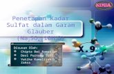 Penetapan Kadar Sulfat dalam Garam Glauber (Na2SO4.10H2O) SMK-SMAK Bogor