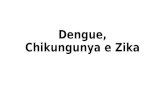 Dengue, chikungunya e zika