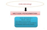 Mikrobiologi metode pengamatan
