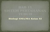 Materi biologi x ppt bab 11 fix