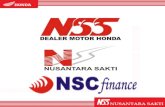 Company profile NSC Finance