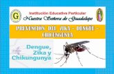 Prevención del zika dengüe y chikungunya