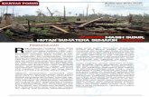 Korupsi Masih Subur, Hutan Sumatera Semakin Hancur