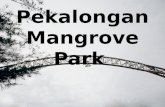 Pekalongan Mangrove Park